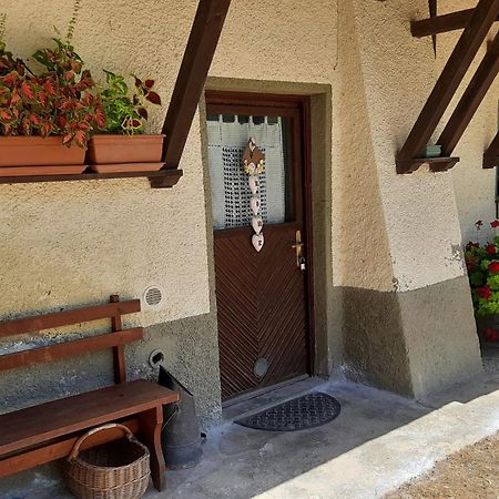 Artenatura Beb Terranuova Bracciolini Buitenkant foto