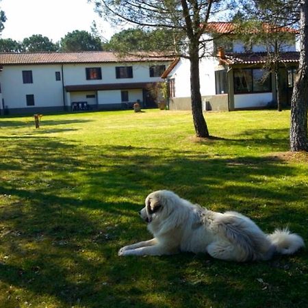 Artenatura Beb Terranuova Bracciolini Buitenkant foto