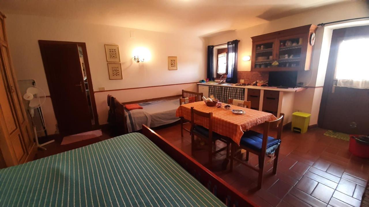 Artenatura Beb Terranuova Bracciolini Buitenkant foto