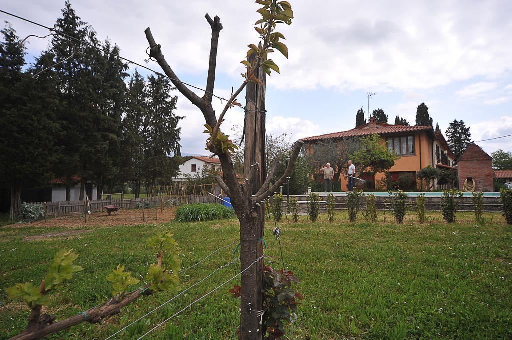 Artenatura Beb Terranuova Bracciolini Buitenkant foto
