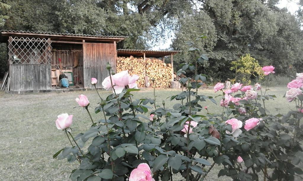 Artenatura Beb Terranuova Bracciolini Buitenkant foto