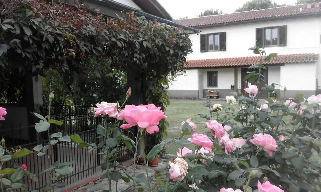 Artenatura Beb Terranuova Bracciolini Buitenkant foto