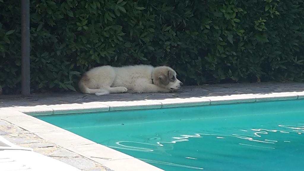 Artenatura Beb Terranuova Bracciolini Buitenkant foto