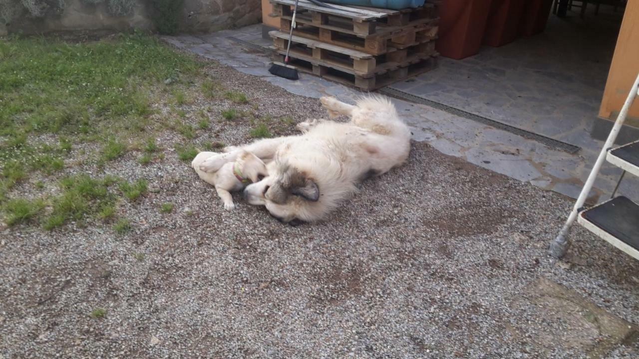 Artenatura Beb Terranuova Bracciolini Buitenkant foto