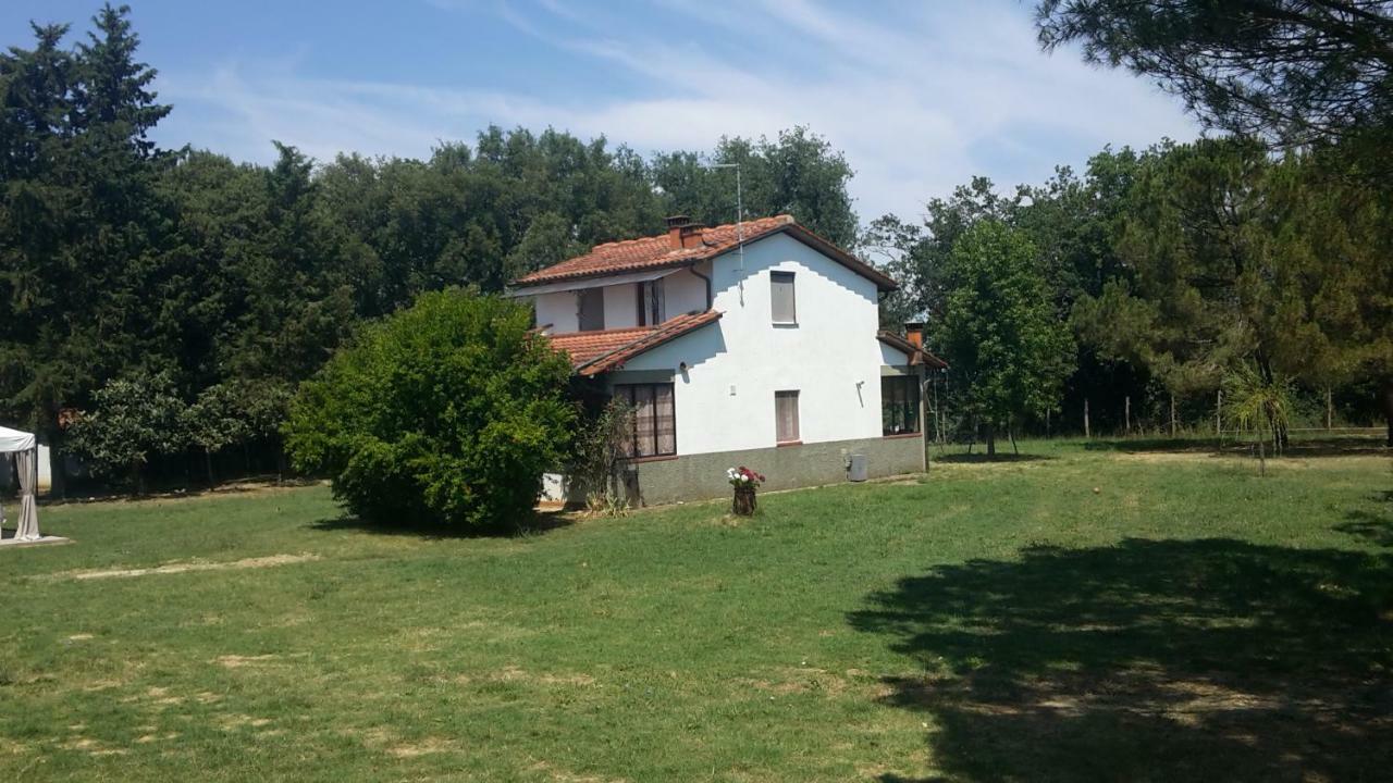 Artenatura Beb Terranuova Bracciolini Buitenkant foto