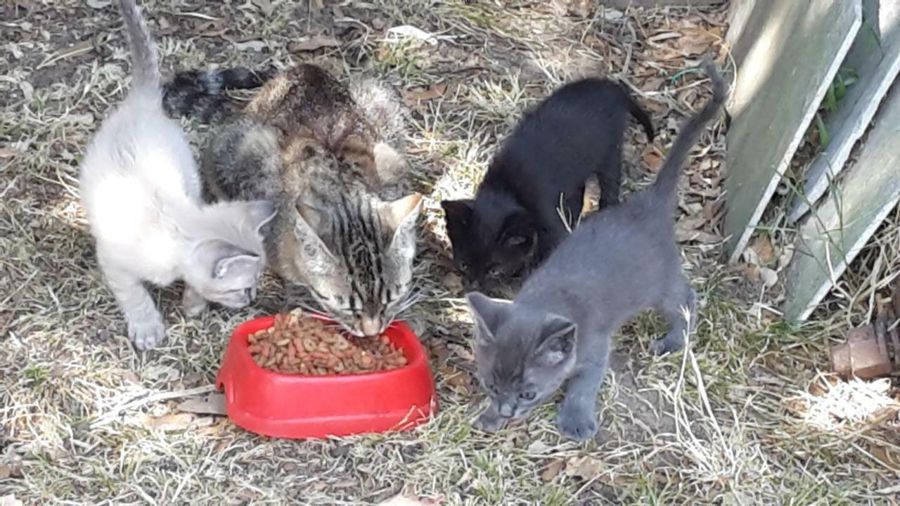 Artenatura Beb Terranuova Bracciolini Buitenkant foto